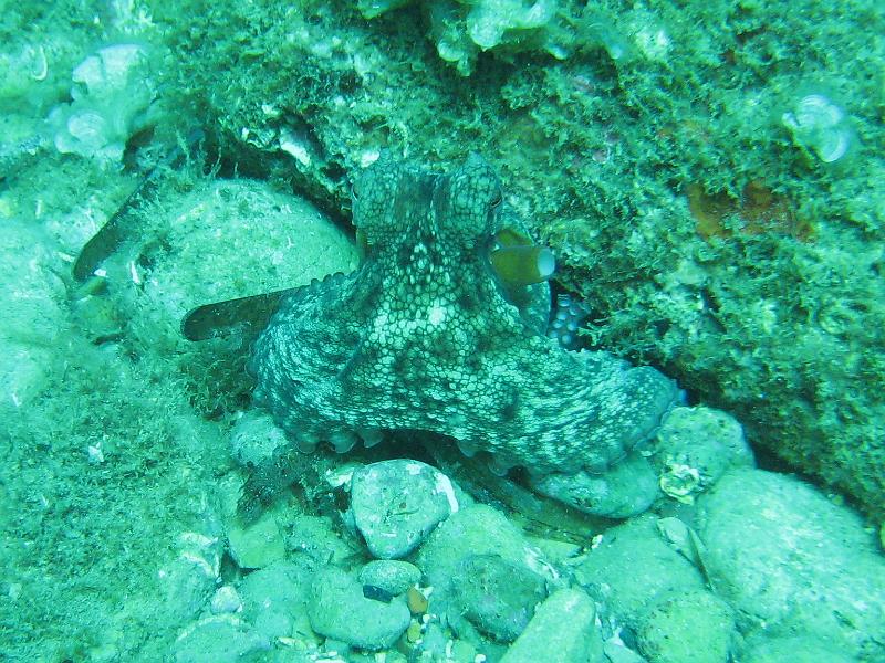 2009-09-10 11-28-51S.JPG